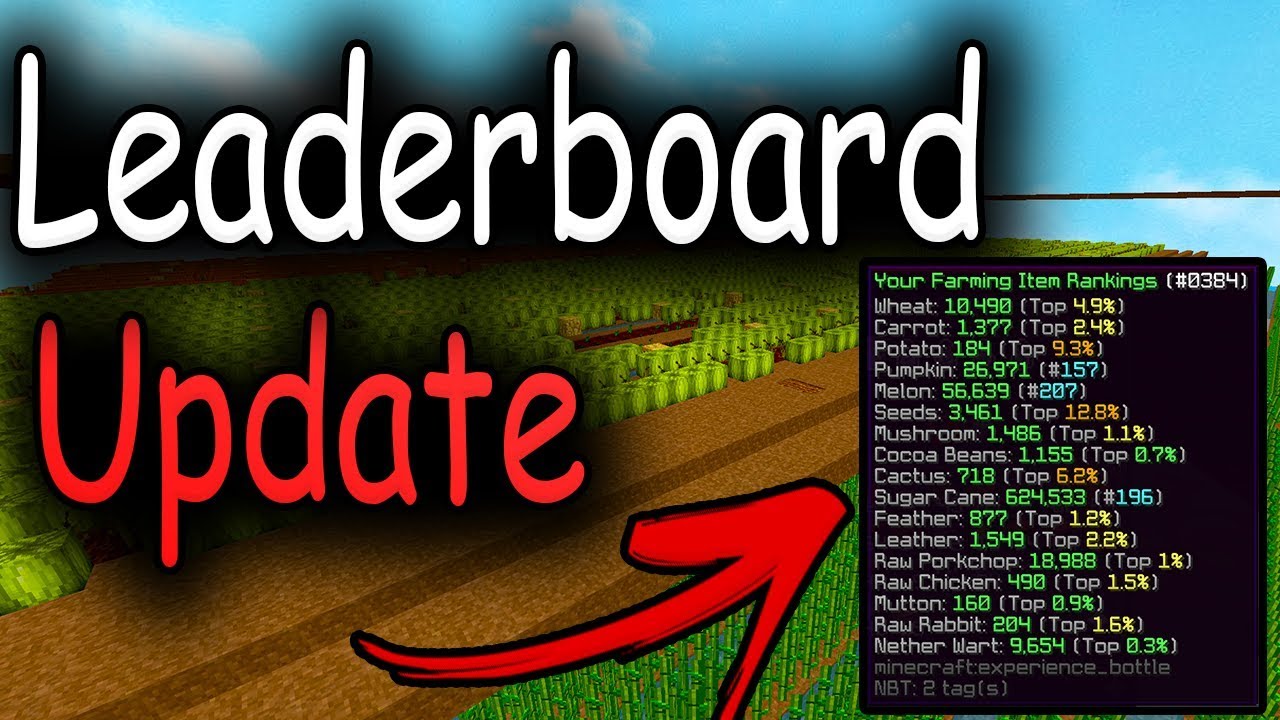 Hypixel Skyblock - Leaderboard Update Guide