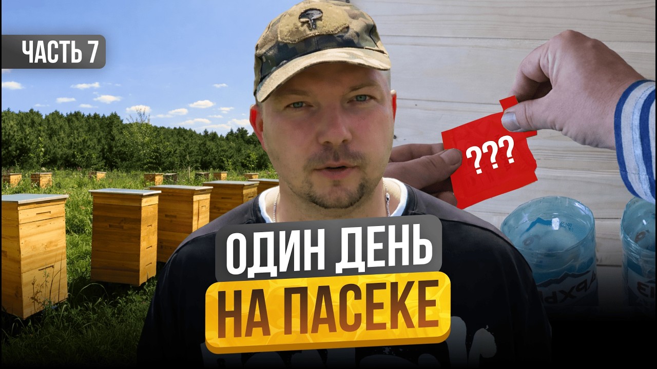Сбежал с Офиса на Пасеку! Что из этого Вышло? Строю Пасеку с Нуля |Серия 7