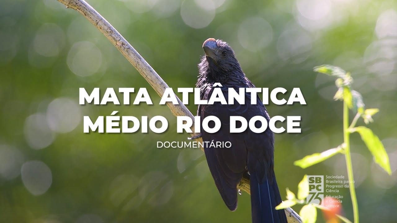 Documentário Mata Atlântica