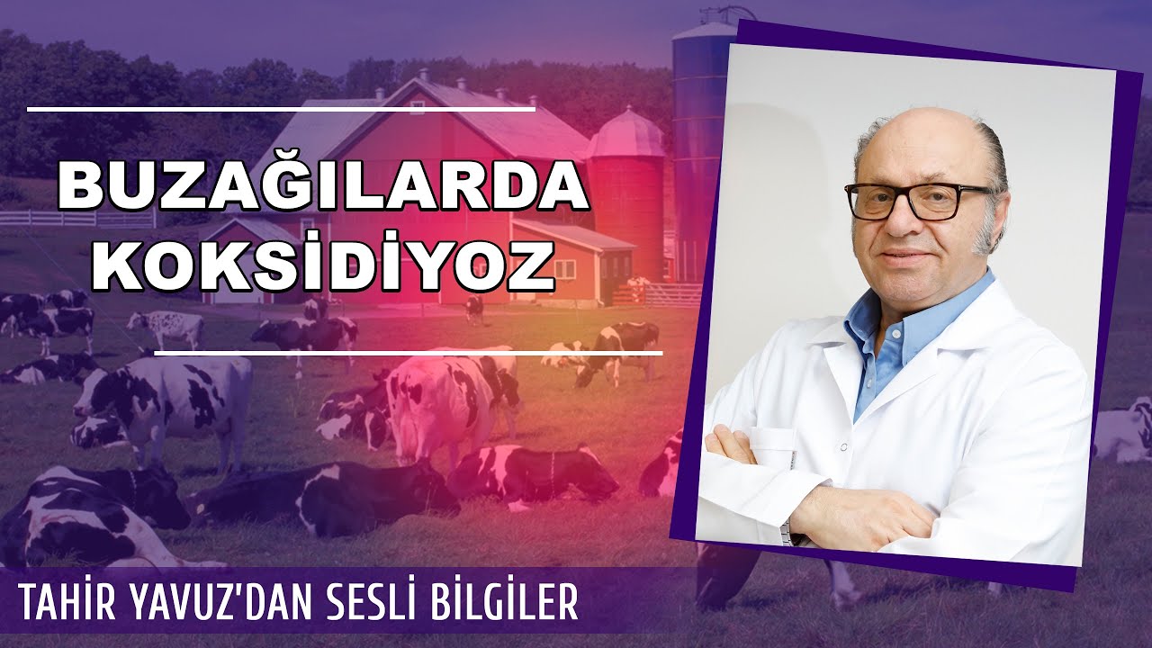 Tahir Yavuz'dan Sesli Bilgiler 