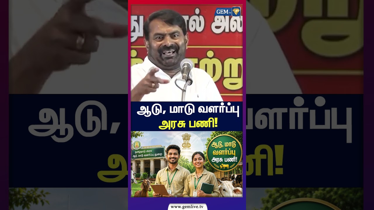 ஆடு, மாடு வளர்ப்பு அரசு பணி!| CM Vijay | TVK | NTK | Seeman Speech