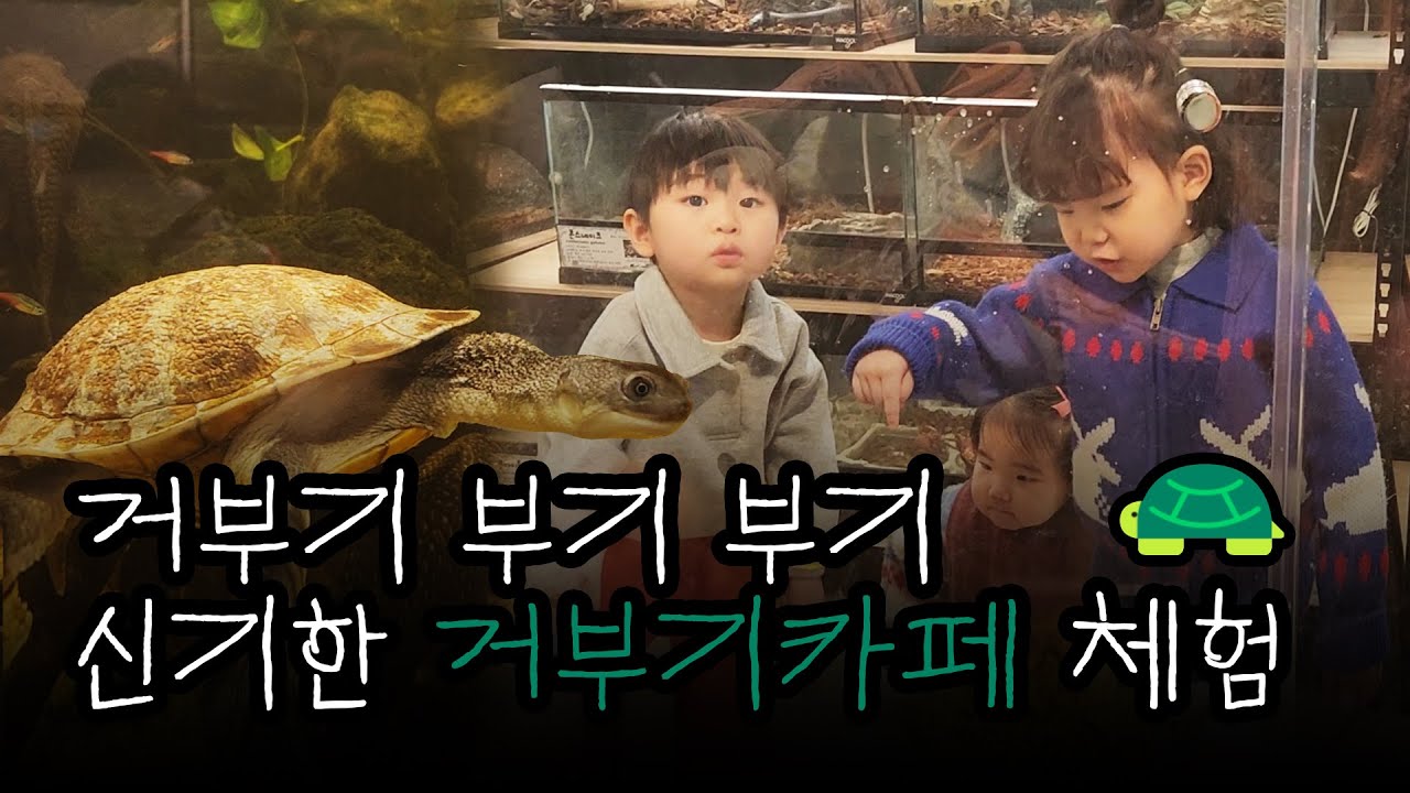[일상 브이로그] 거부기 부기 부기 카페 이색 체험🐢