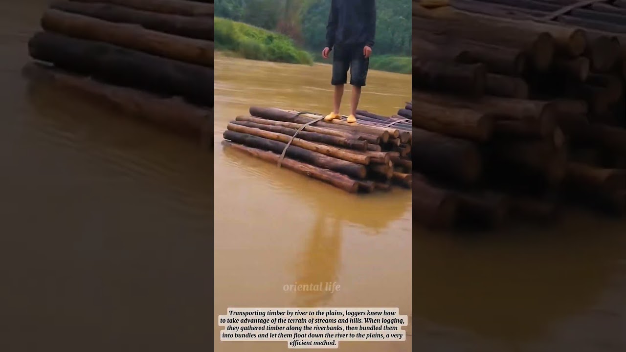 Taking Advantage Of The Terrain: Efficient Timber Transport