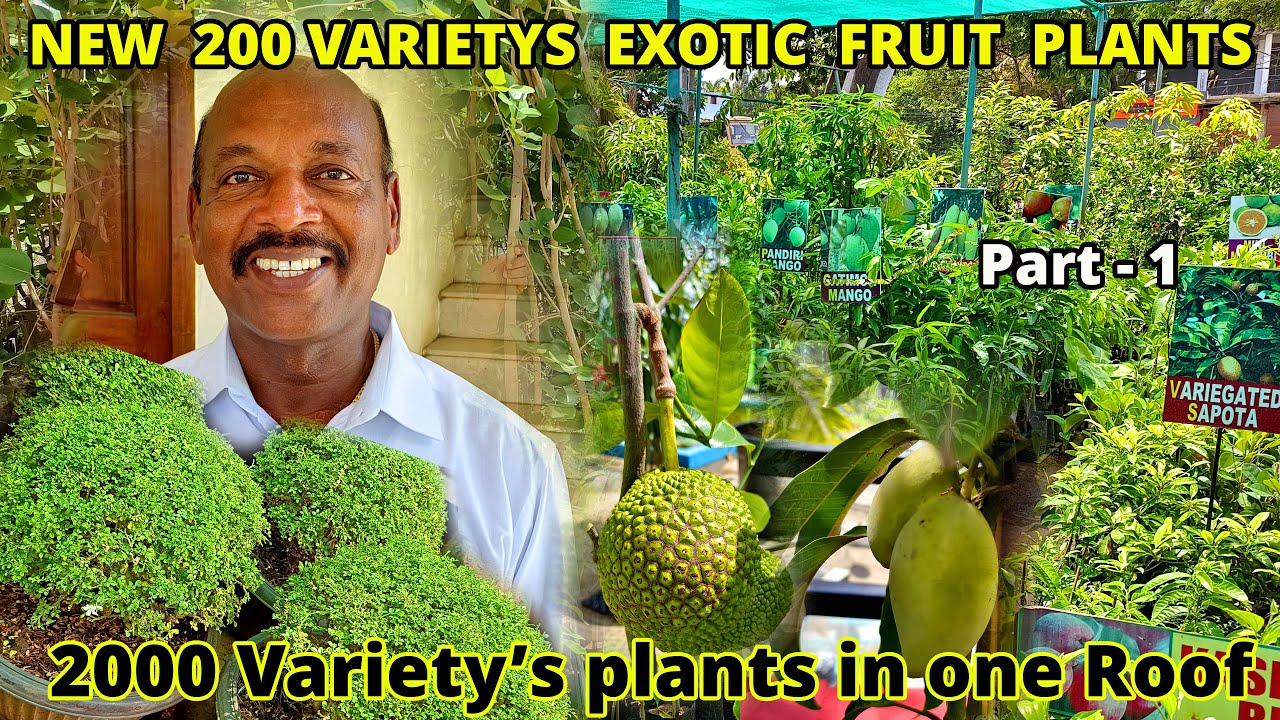 ஓய்வு பெற்ற பின்பும் சாதித்து காட்டிய வேளாண் அலுவலர் Greenland Nursery - Karthiks View