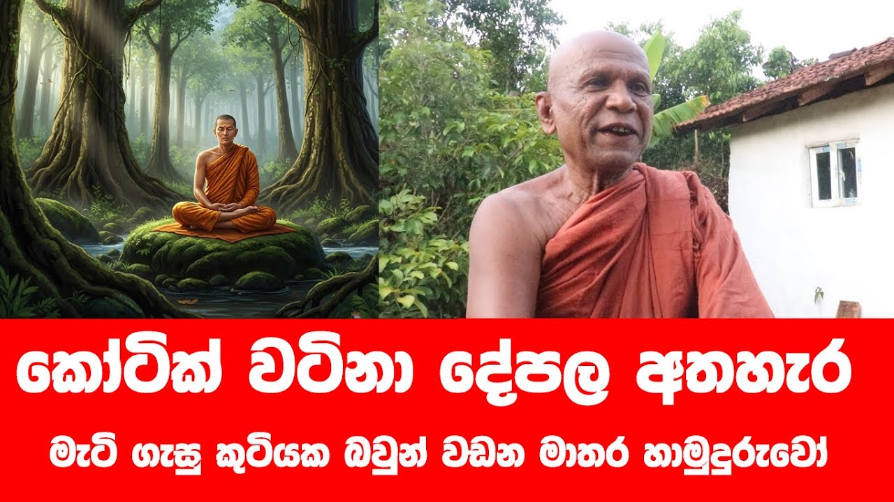 කෙලෙස් නසන හාමුදුරුවෝ..