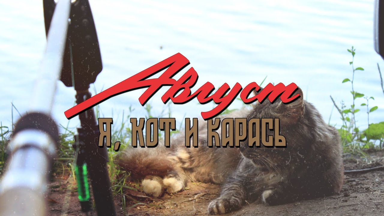 Август. Я, Кот и Карась. Рыбалка с ночевкой