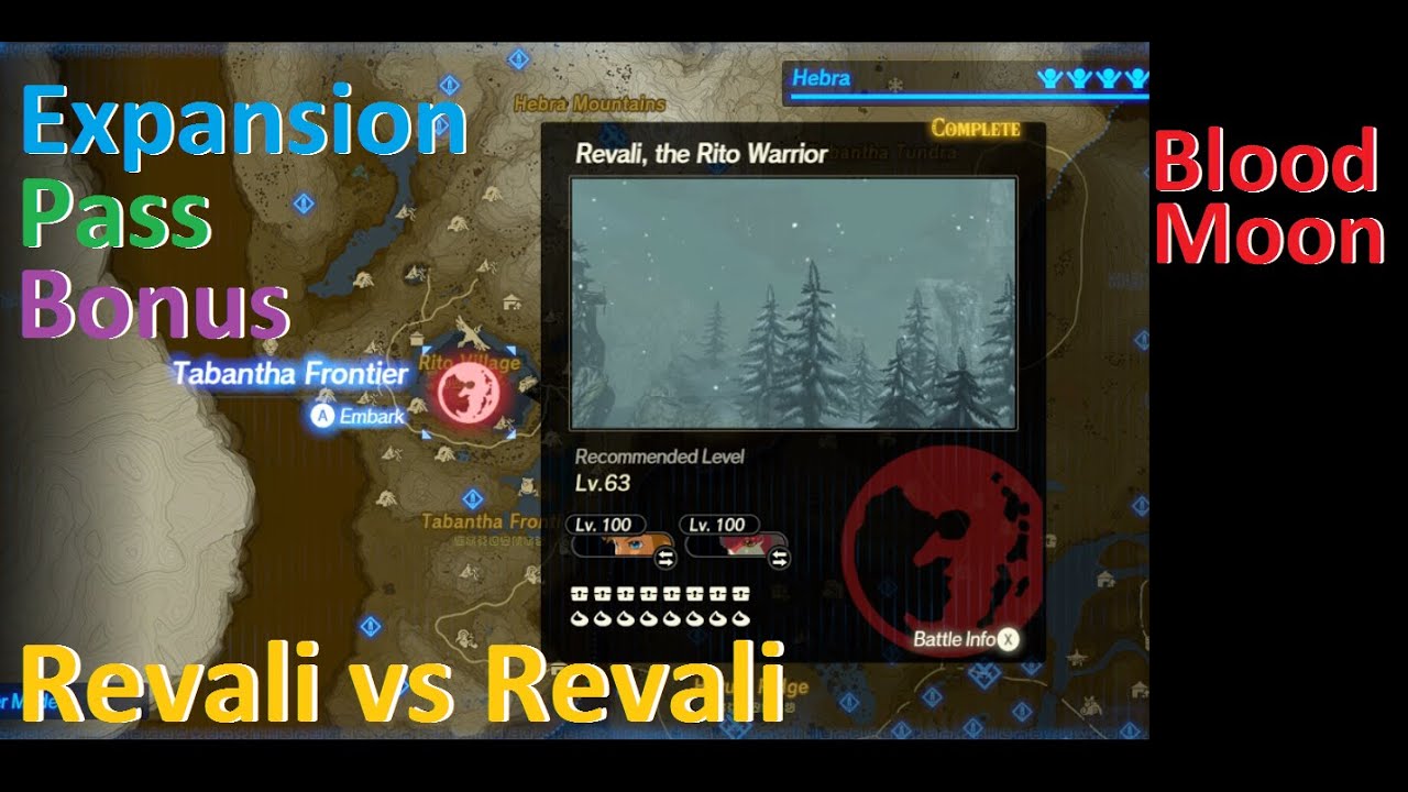 Hyrule Warriors:  AoC - Revali, The Rito Warriors (Revali vs Revali) Blood Moon