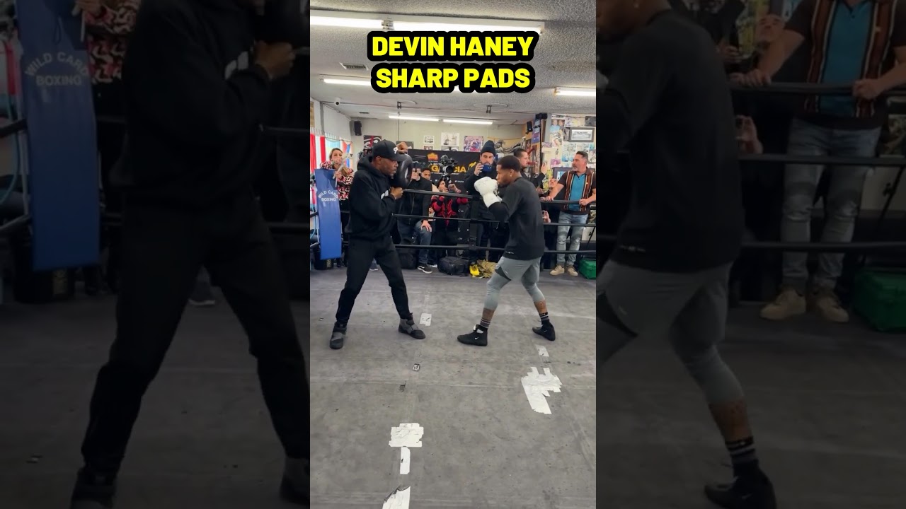 Devin Haney IMPRESSIVE Pad Workout