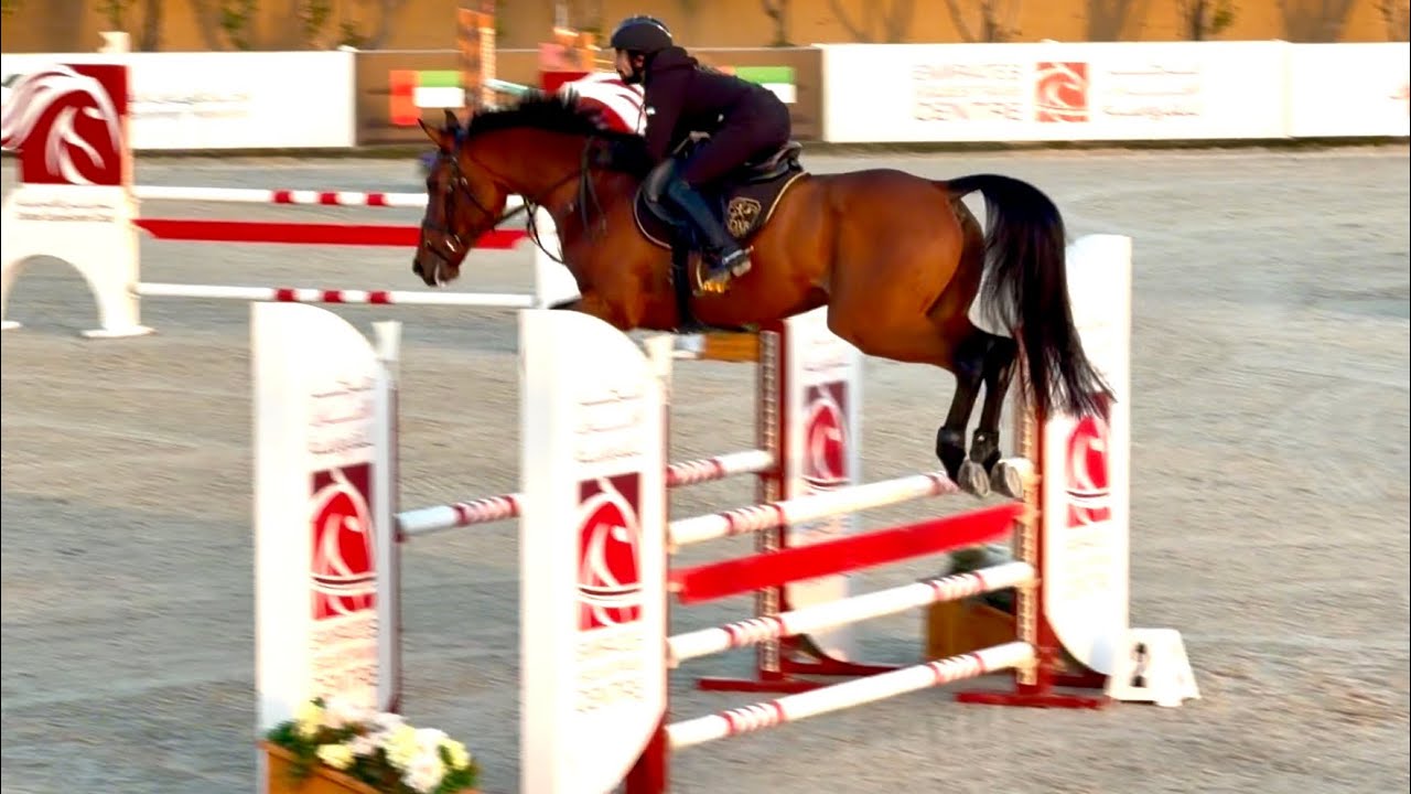 Undercover DXB (Uricas V/D Kattevennen x Bisquet Balou) Natural talent, Weekend glow-up loading! ✨👌🏻