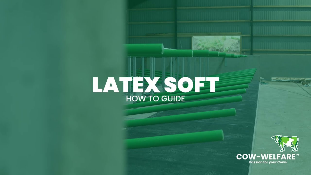 How to Install Cow-Welfare Latex Soft Mattresses