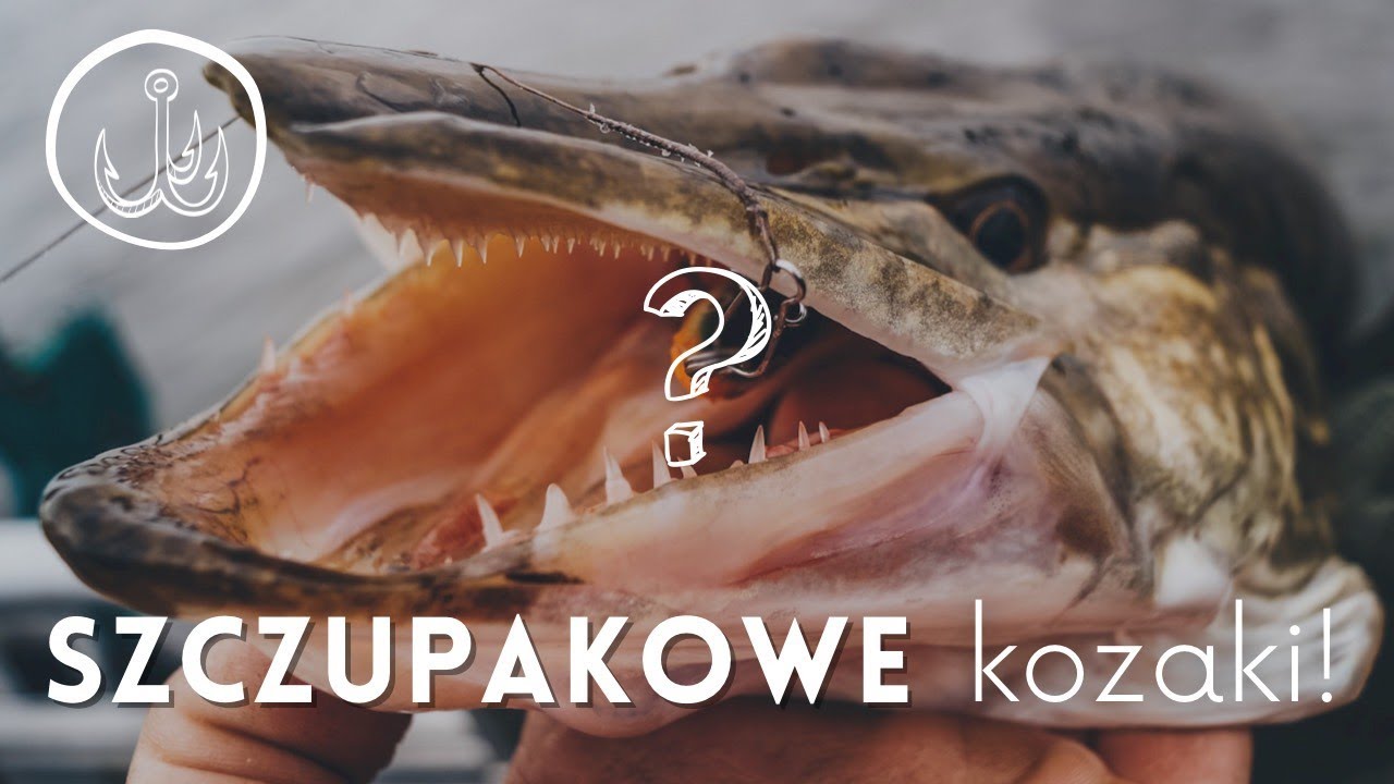 Najlepsze przynęty na szczupaka▪️Tylko sprawdzone killery▪️ wędkarstwo spinningowe