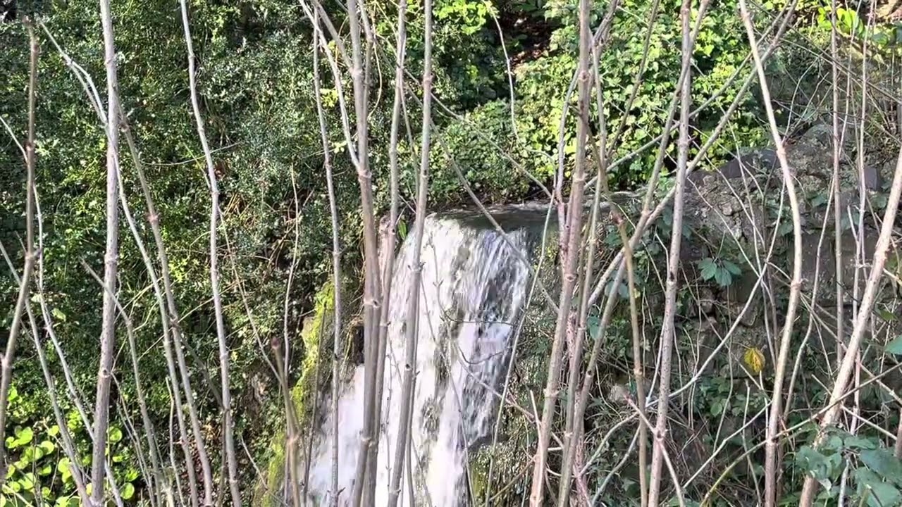 Fear and Conflict - An acim reading T-2.VI.1-9