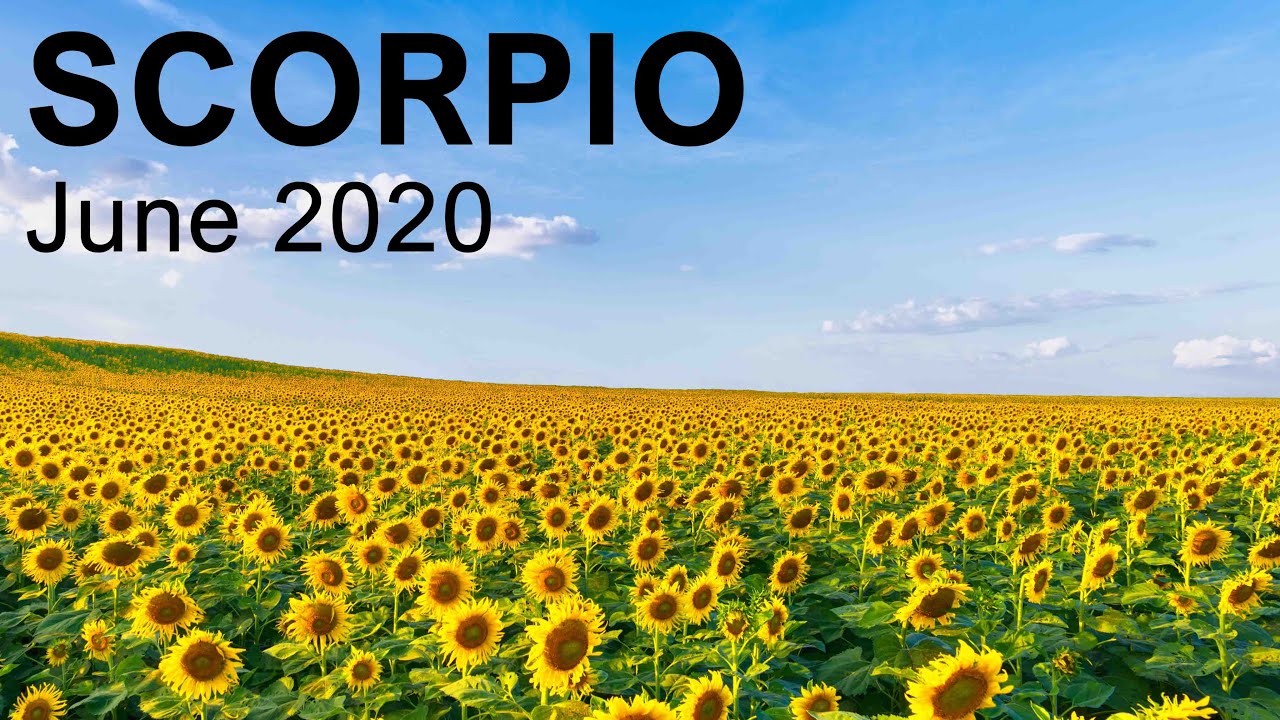 SCORPIO JUNE 2020 TAROT READING 
