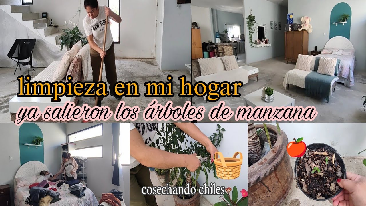 Ya le hacía falta ✨/ dio muchos chiles 🌶️/ doblando y acomodando ropa/ salieron las 🍎