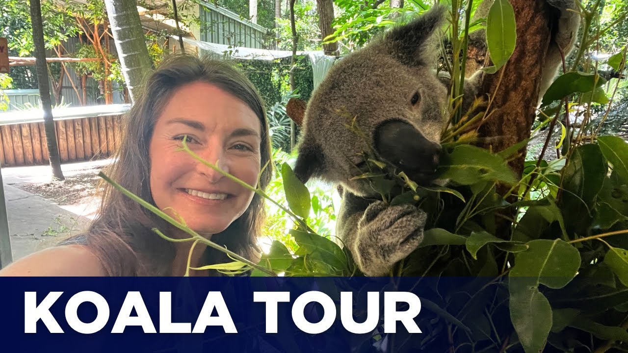 Tour of Lone Pine Koala Sanctuary in Brisbane Australia