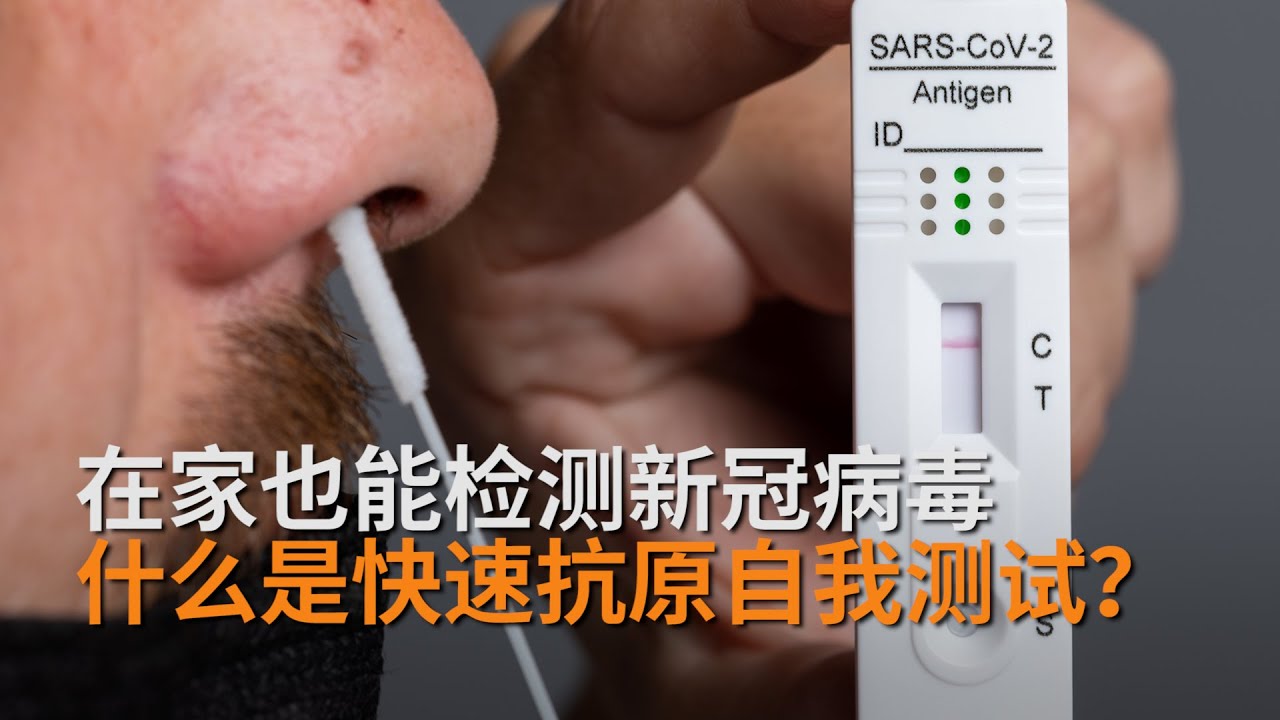 澳两大超市开售新冠病毒检测试剂：专家讲解在家如何做快速抗原测试？|专家解析 | SBS中文