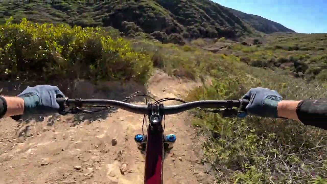 Aliso Woods + Laguna Coast Park Hopper — Stair Steps, Burnt Stump, T&A, Rock-It