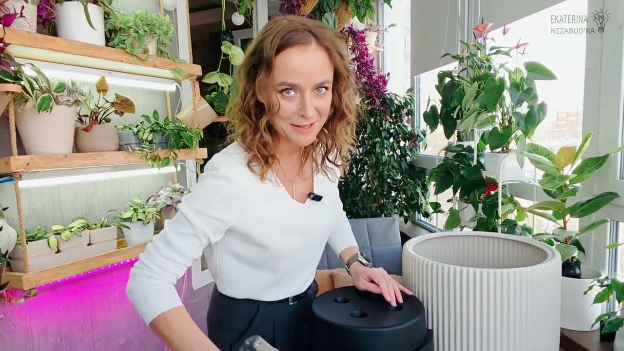 🟣🟢 ПЫШНЫЙ ФИКУС: Почва, которая точно не подойдет/ Весенние пересадки