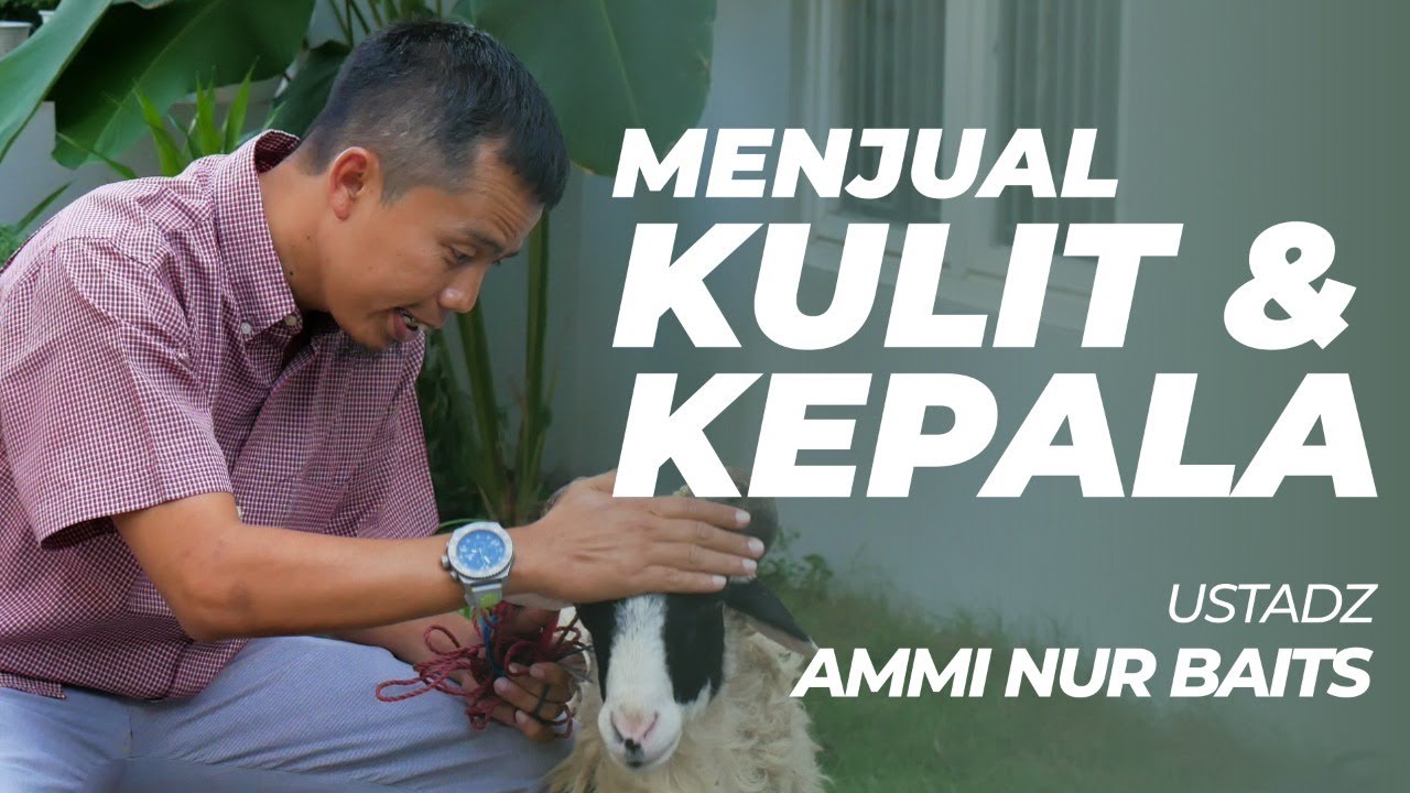 Menjual Kulit & Kepala | Ustadz Ammi Nur Baits, S.T .,B.A