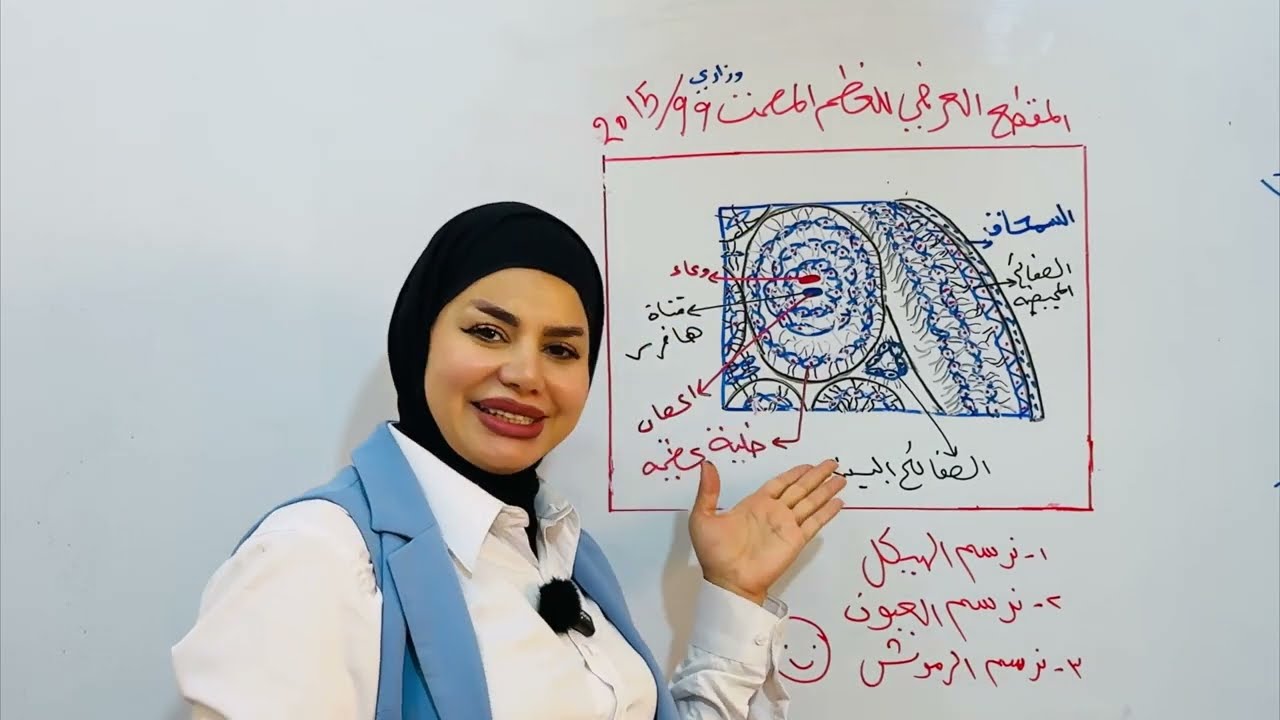 رسم العظم المصمت