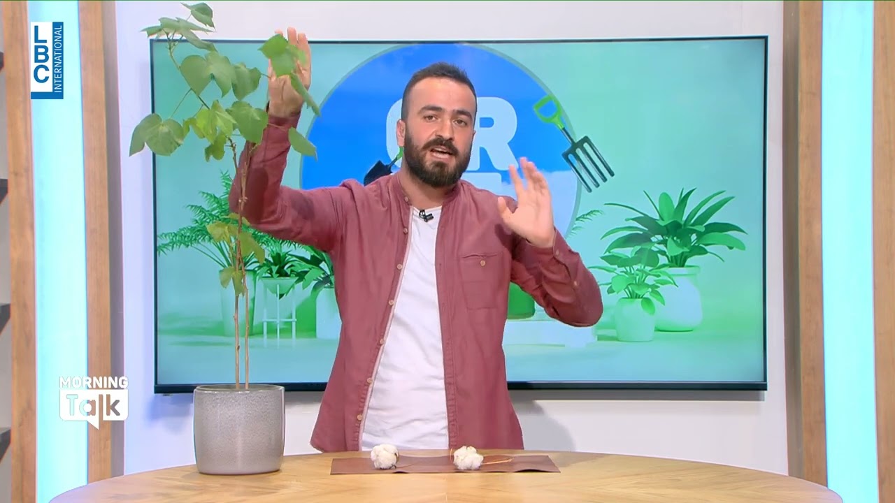تعرفوا الى شتلة القطن في فقرة Green ضمن Morning Talk