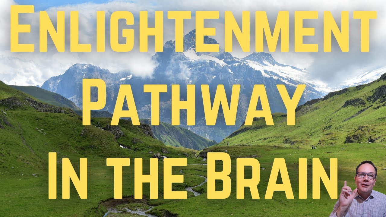 Enlightenment Pathway In the Brain - Yogi Explains