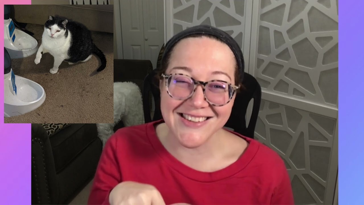 Lessons about life, love, loss, and friendship from Chubbs the rescue cat