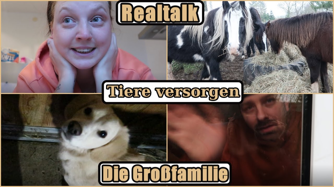 Kleine YouTube Pause | Realtalk | Tiere versorgen |Mein Vormittag | 