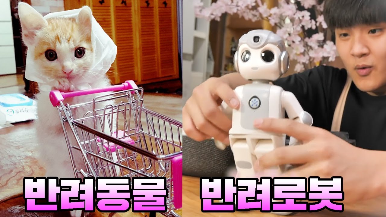 100만원짜리 반려로봇에게 반려동물을 맡겼더니  [ 공대생가족 ]