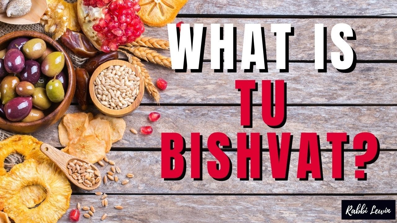 What is Tu Bishvat  and Why Celebrate it? | Tu Bshevat