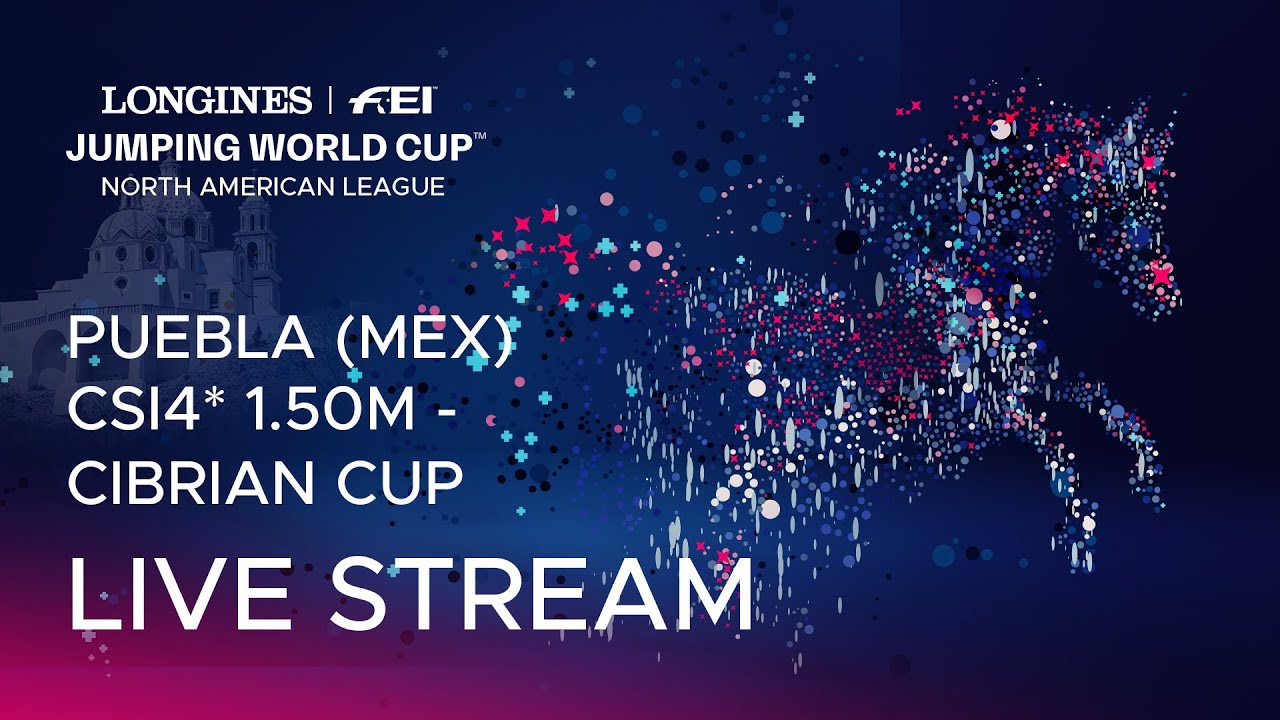 🔴 LIVE | CSI4* 1.50m -  CIBRIAN Cup