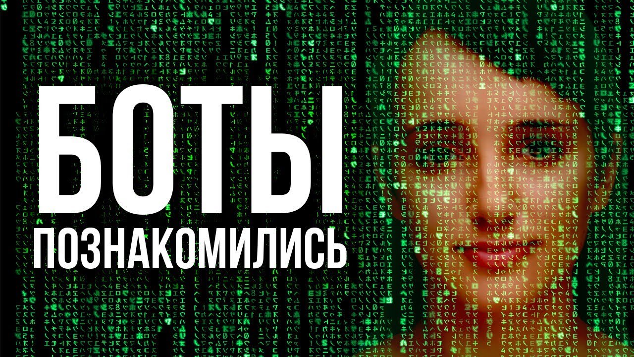 Познакомил нового Яндекс бота Алису с Evie CleverBot. Не стоило.
