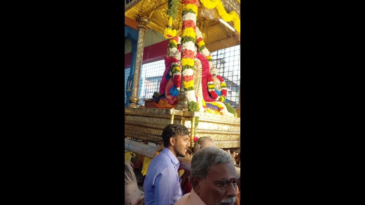ரதசப்தமி 🙏🙏🙏🙏🙏🙏7 அலங்காரம் 🙏🙏🙏🙏வைகுண்டவாசபெருமாள் கோயில்🪔🪔🪔Ramya Magesh vlogs devotionalsong 