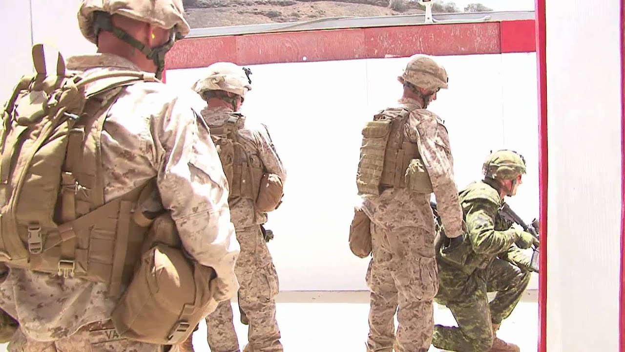 Canadian, U.S. Marines conduct room clearing training