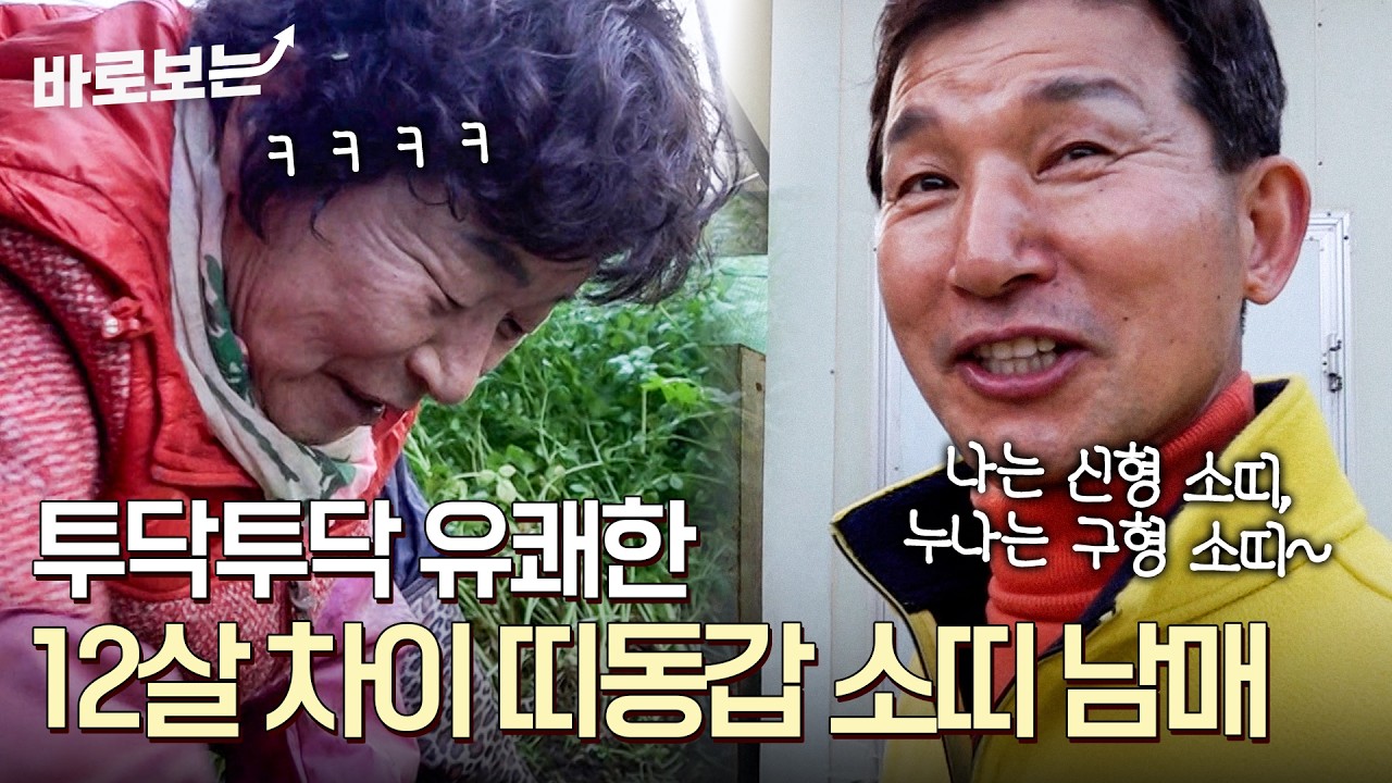 같이 살면서 미나리 농사를 짓는 구형 소띠 X 신형 소띠 띠동갑 남매!🐂🐂｜#바로보는사노라면