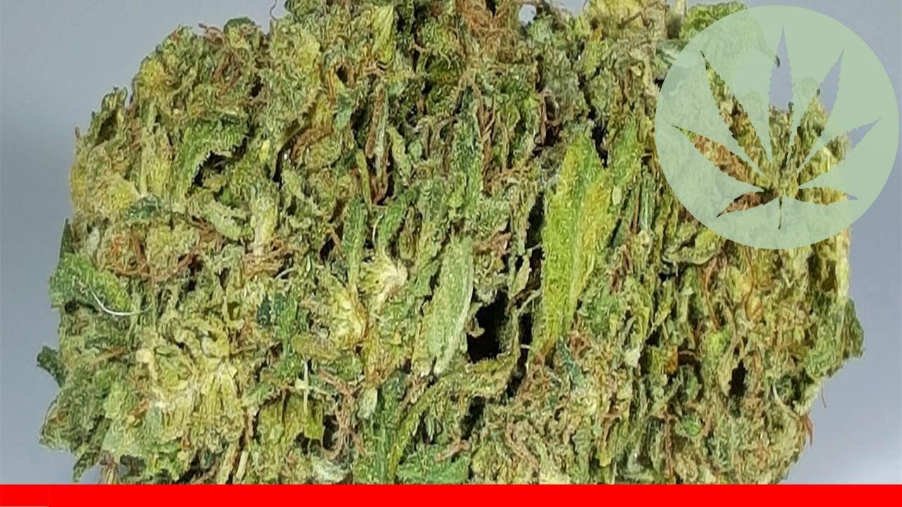 Thc Bomb - All About This Strain