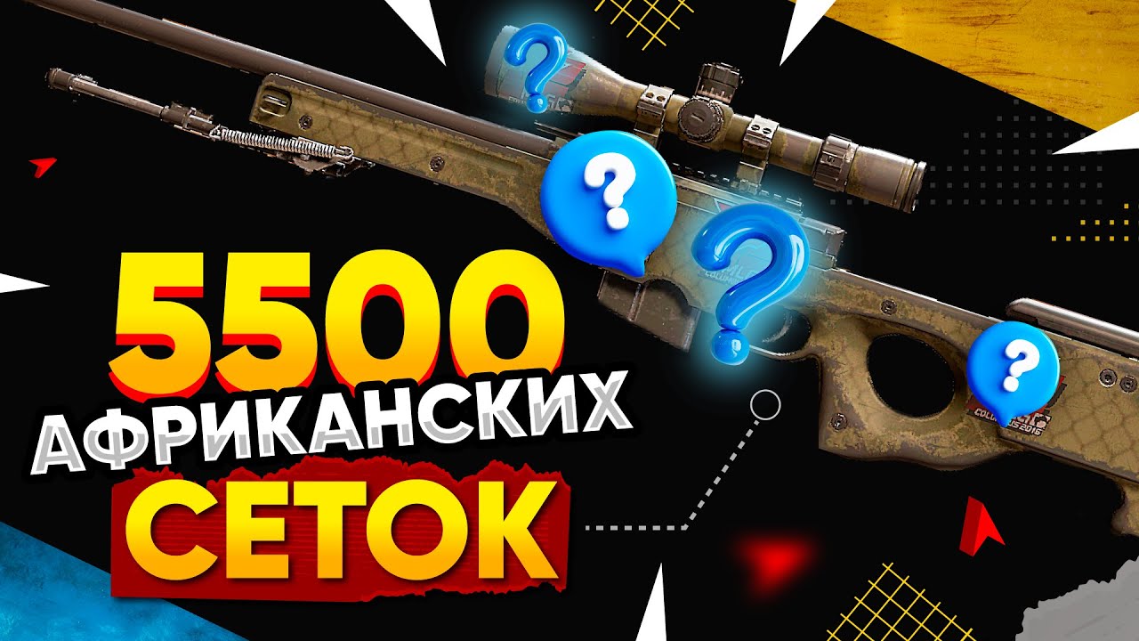 КУПИЛ 5500 AWP | Африканская Сетка в КС 2. Попалась РЕДКАЯ ЗОЛОТАЯ НАКЛЕЙКА и ФЛОАТ ТОП-200
