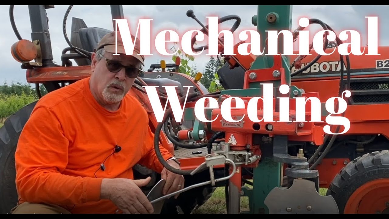 How we use our tractor to remove weeds