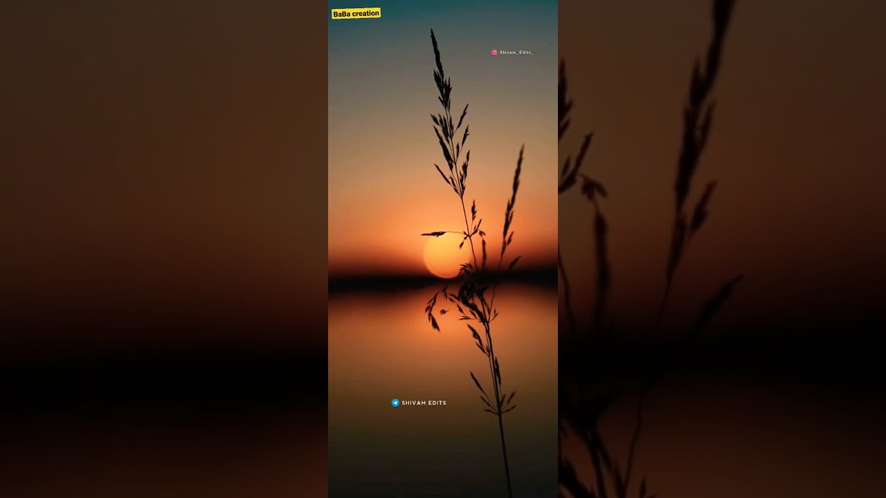 Barish New video || OK Video #shorts