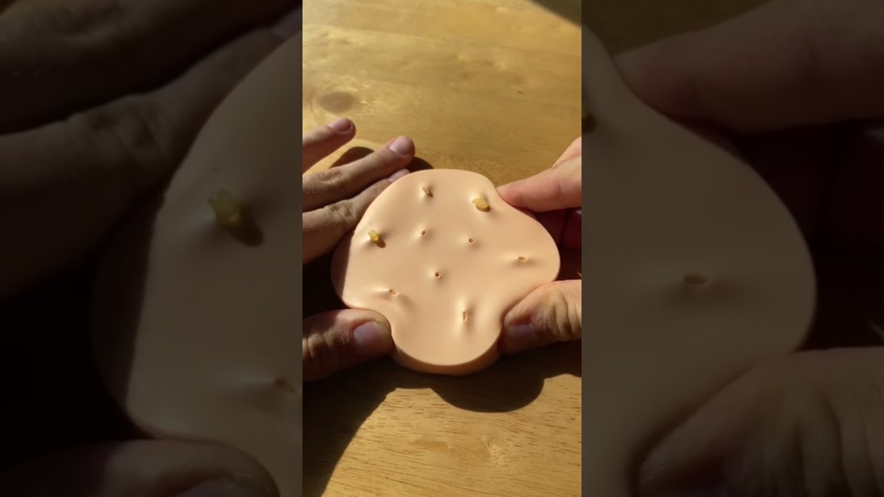 Satisfying Pimple Popper toy 