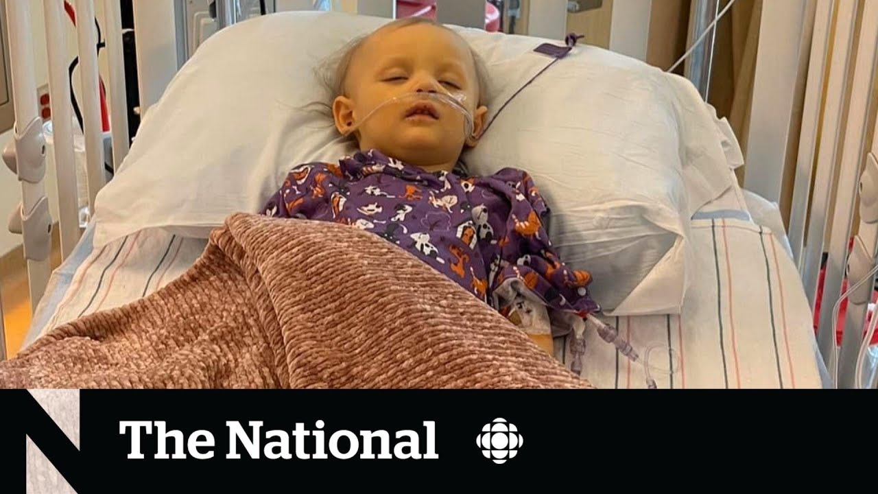 Research offers hints into mystery liver disease in children
