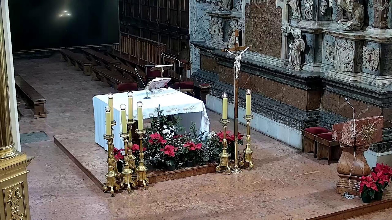 Transmisja z Katedry Tarnowskiej