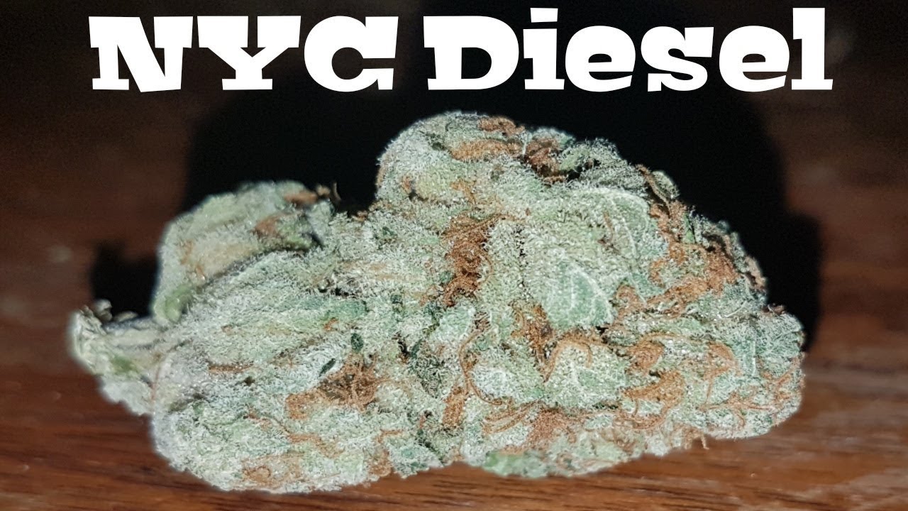 Strain Review - NYC Diesel