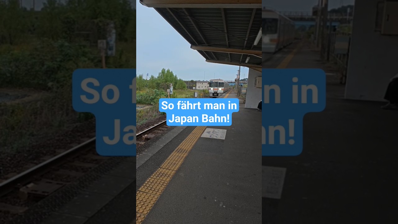 Bahn fahren in Japan - nicht so einfach! #train#system#Bahn#anleitung