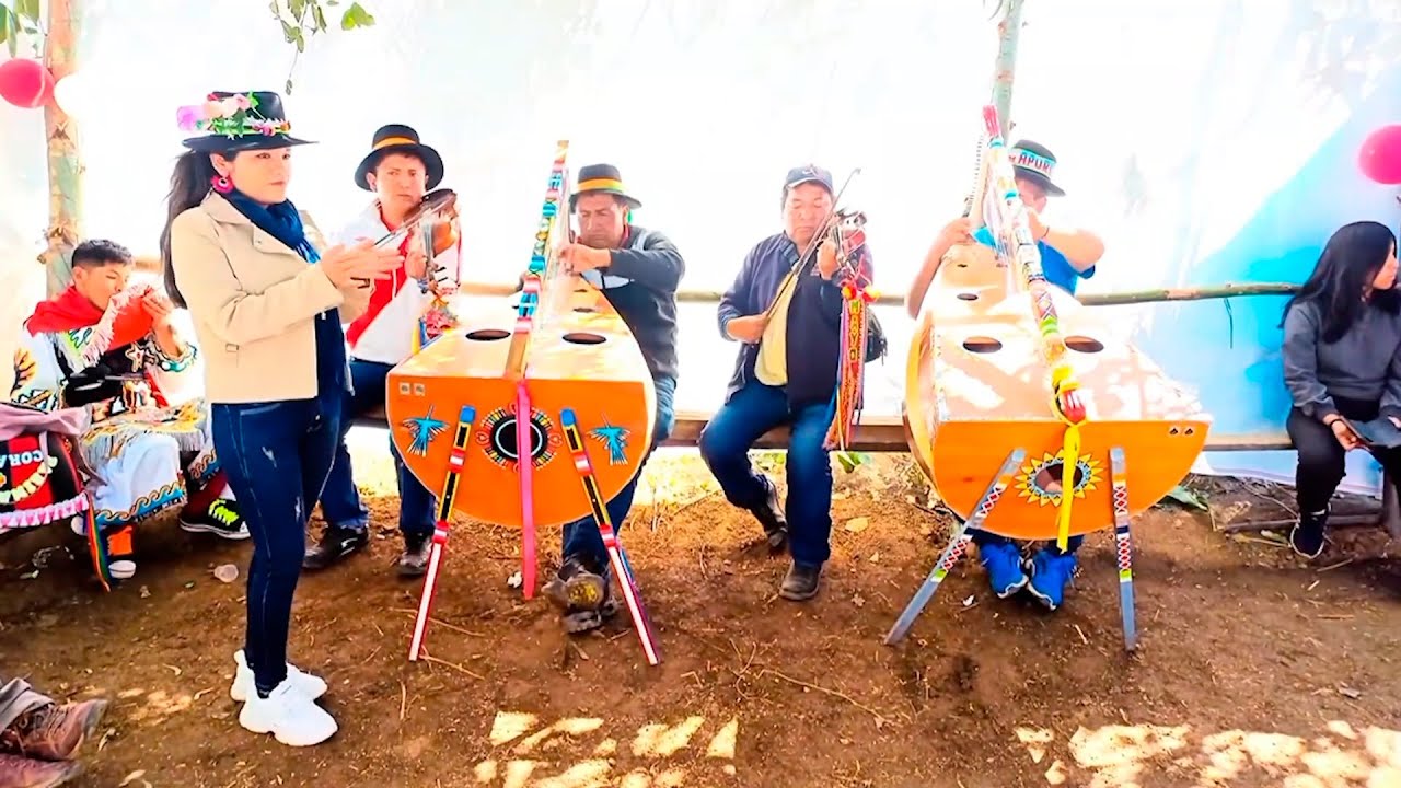 JARANA ARPA & VIOLIN / LINDA MILLY DE AYMARAES