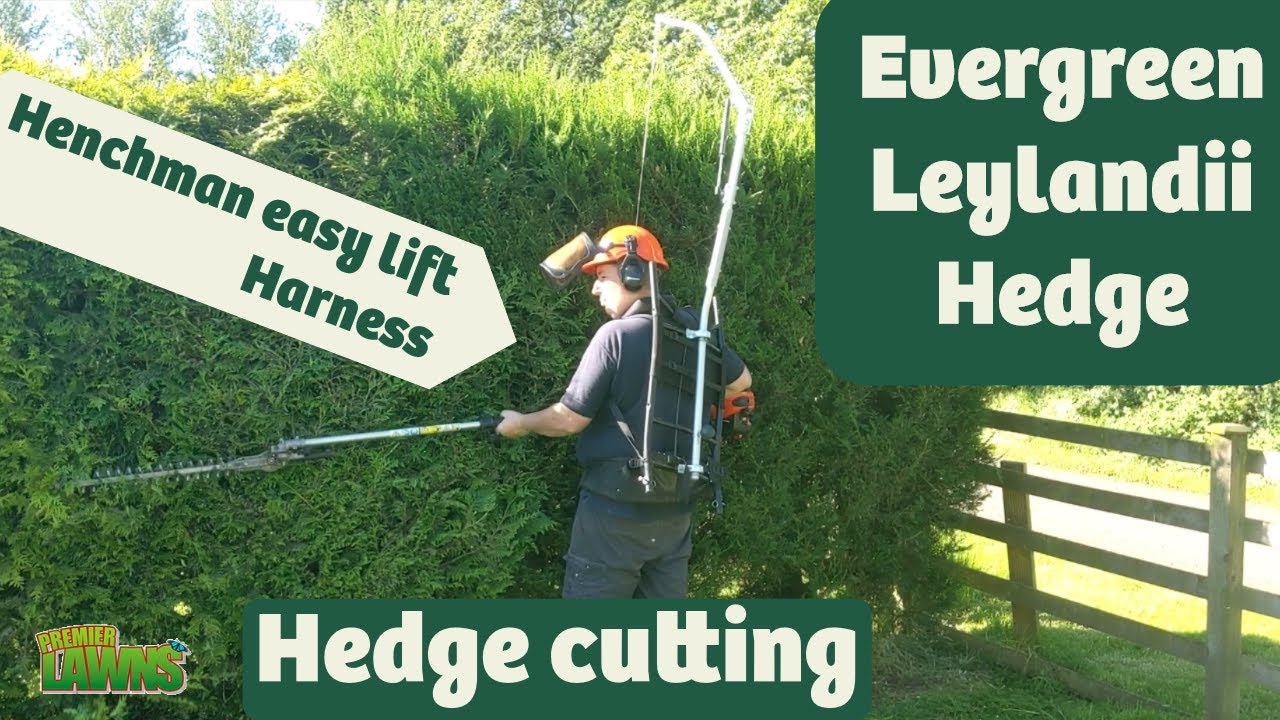 Hedge trimming - henchman easy lift harness