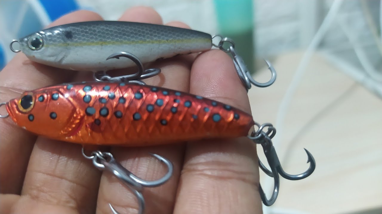 cara memilih umpan mancing casting kakap putih