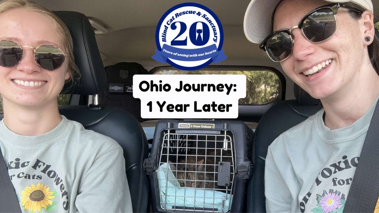 Ohio Journey: 1 Year Later