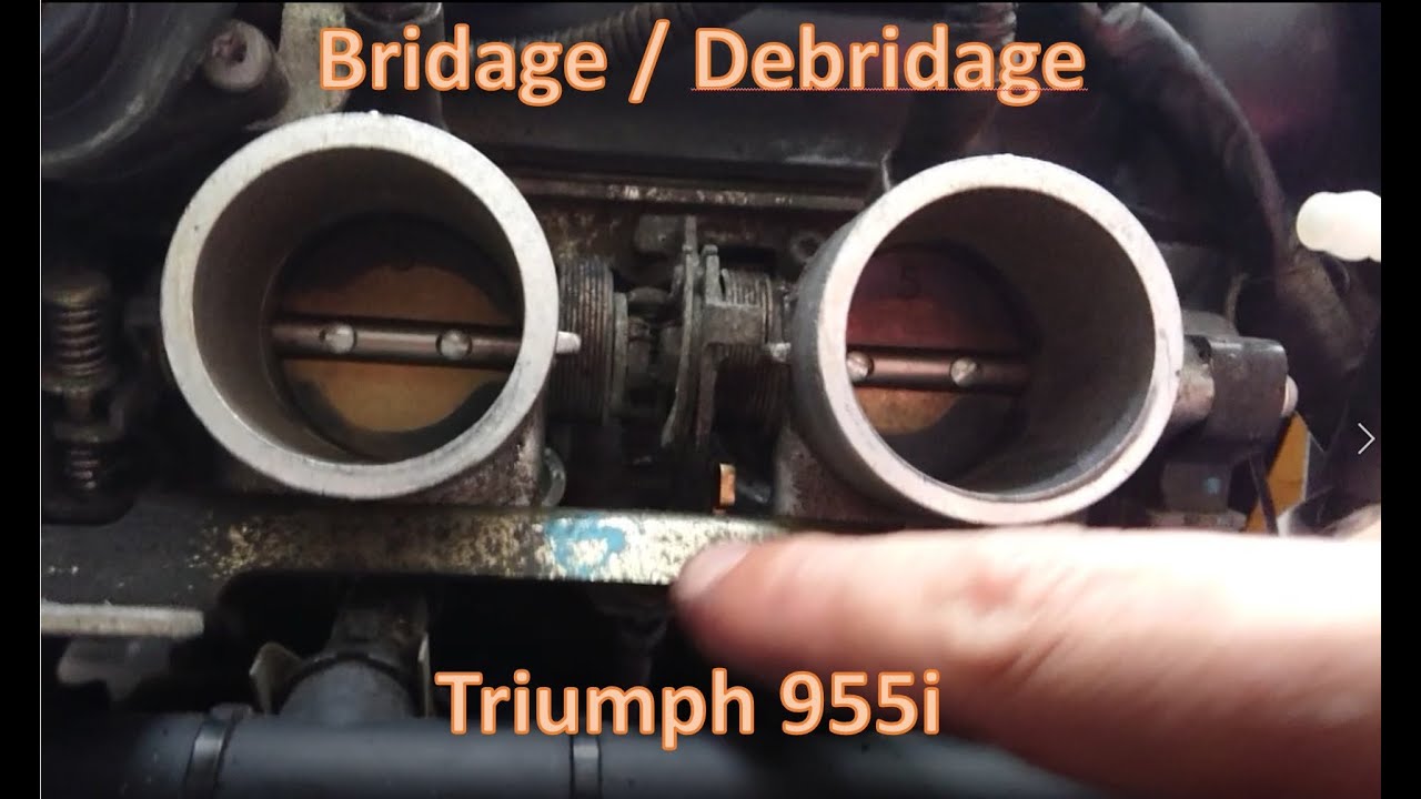 Bridage et Debridage Triumph 955i 1999-2004