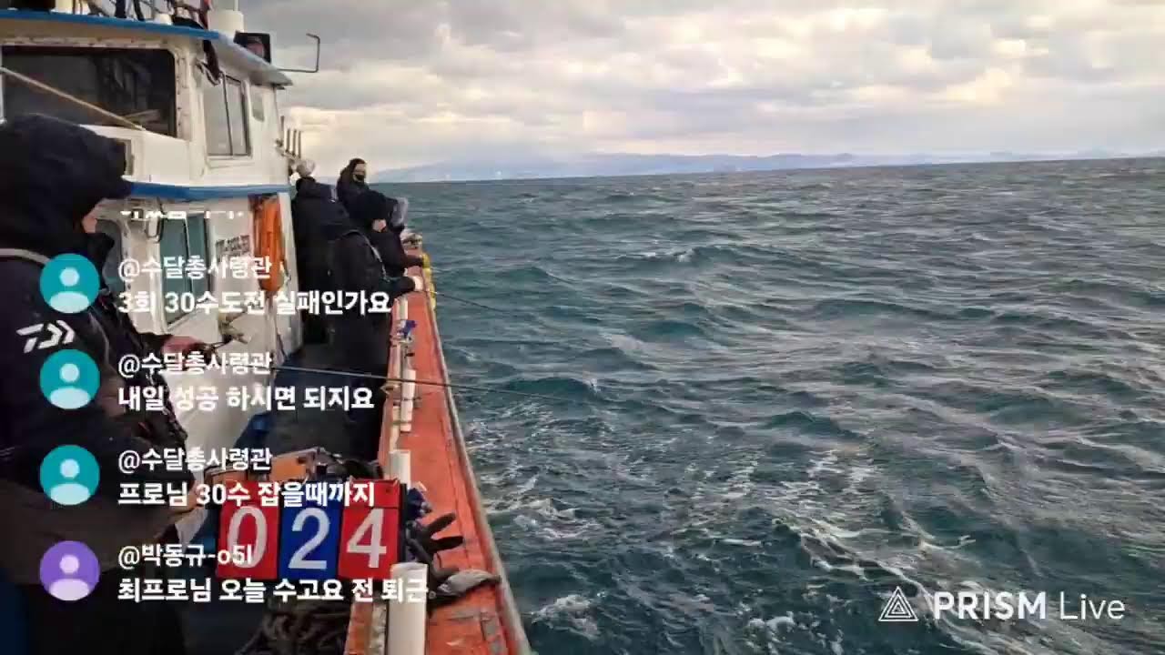 제주 심해 갑오징어 _ 2026년 1월 23일 (한림항 서부호)